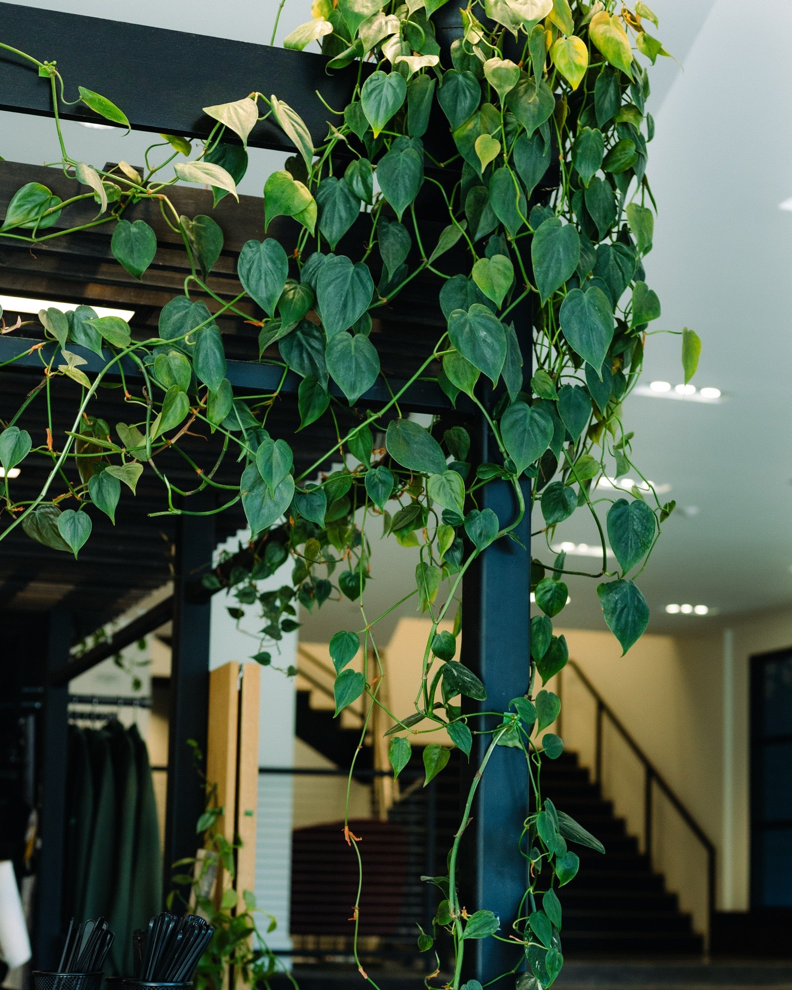 Elegy Coffee Downtown — photo 1