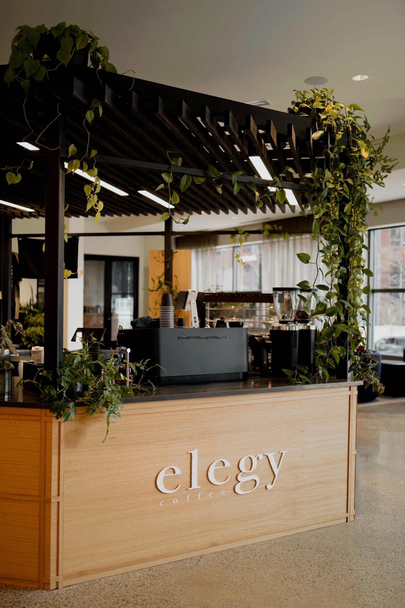 Elegy Coffee Downtown — photo 4